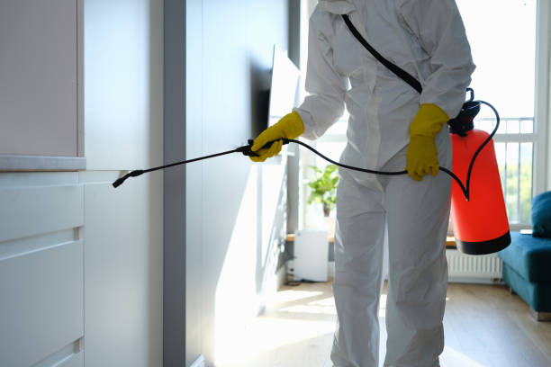 North Auburn, CA Mold Removal Company
