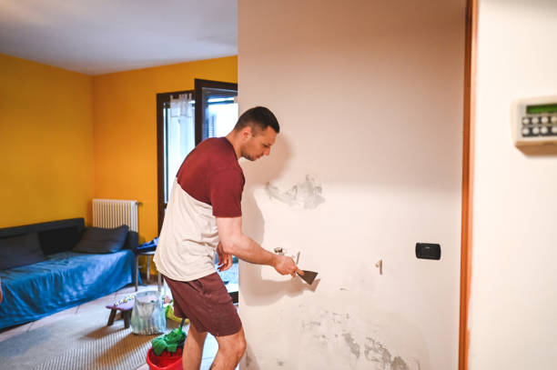 Best Mold Removal Near Me  in North Auburn, CA